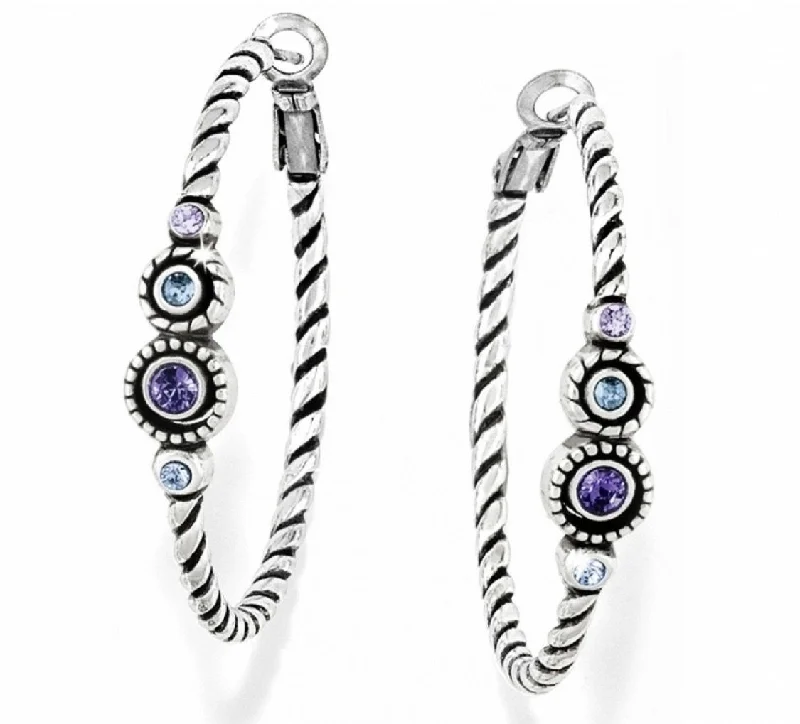 fashionable drop earrings -fashionable drop earrings -Halo Hoop Earrings JE7642